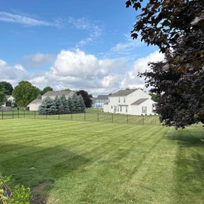 landscaping services by J.G.SupremeLandscaping LLC. reviewed on May 7, 2024