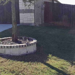 turf maintenance by RazaSharpe lanscaping LLC reviewed on August 19, 2025