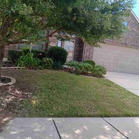 gardening service by Clean Cut reviewed on November 20, 2025