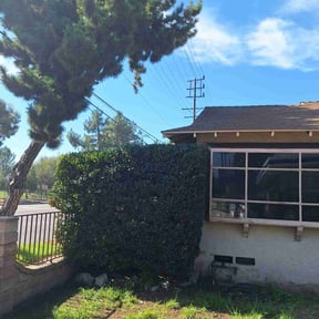 Bush Trimming by Greg&#039;s Landscaping reviewed on October 23, 2025