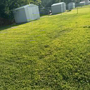 gardening service by Rivs Landscaping Care reviewed on August 19, 2025