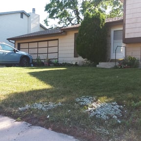Bush Trimming by Gary's Grass Services. reviewed on August 18, 2025