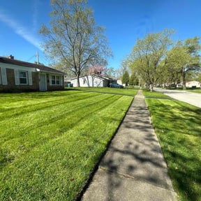 turf care by RJSSERVICES reviewed on May 9, 2024