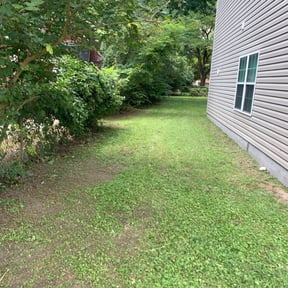 Bush Trimming by Foster’s Lawn Maintenance reviewed on August 15, 2025