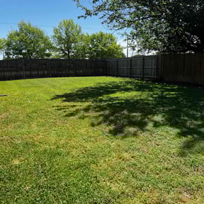 yard work by Perez cuts reviewed on August 19, 2025