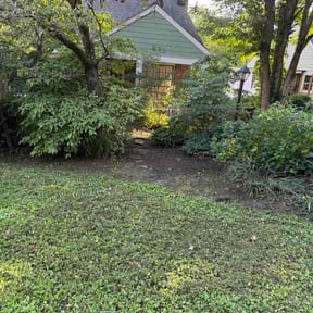 Flower Bed Weeding by We Brother's Company reviewed on July 10, 2026