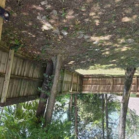 Leaf Removal by Trappers services reviewed on July 8, 2026