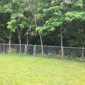 Bush Trimming by Sumner Property Management reviewed on July 10, 2026