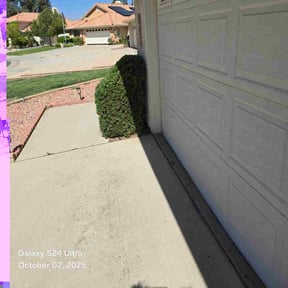 Bush Trimming by C well  Services  . reviewed on November 19, 2025