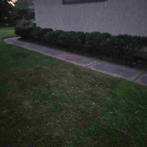 Bush Trimming by Liberty's lawn care reviewed on December 11, 2025