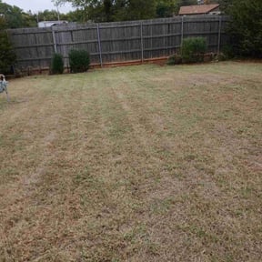 Bush Trimming by TorresLawnservice reviewed on November 22, 2025