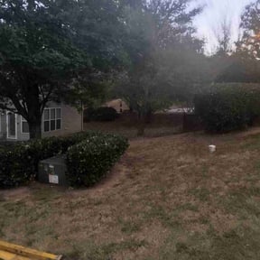 Bush Trimming by Gonzalez Landscaping reviewed on December 31, 2025