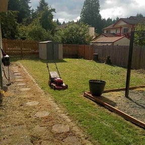 turf care by Hummingbird Home Services reviewed on June 15, 2025