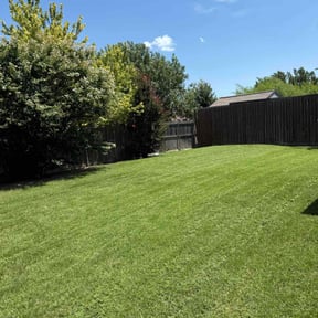 gardening service by The Lawn Cypress reviewed on November 20, 2025