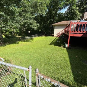 grass cutting by True Blue Lawn Service reviewed on August 16, 2025