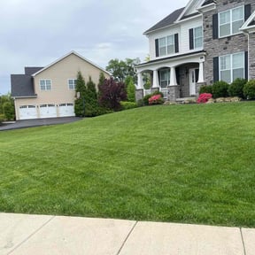 yard maintenance by TopDollarQualityLLC reviewed on August 19, 2025