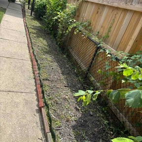 Flower Bed Weeding by Hurricane Lawn Service reviewed on July 13, 2026