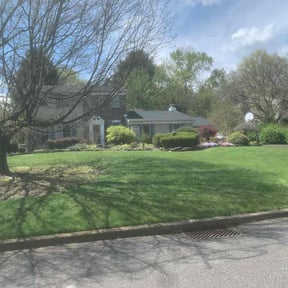 yard maintenance by Mora Brothers Tree and Landscaping reviewed on August 21, 2025