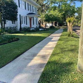 turf care by Sunrise Lawn Care reviewed on June 10, 2025