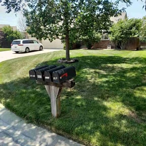 landscape maintenance by Season To Season reviewed on August 18, 2025