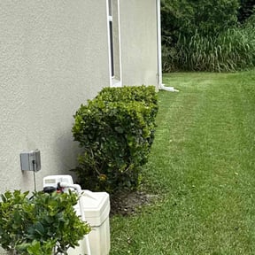 Bush Trimming by Beast-mowed property maintenance reviewed on November 24, 2025