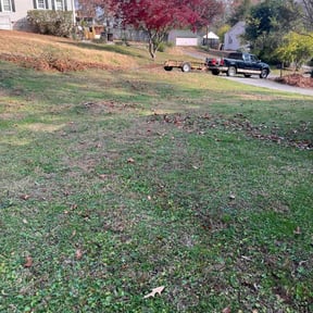 grass maintenance by A&amp;J Lawn Care reviewed on August 7, 2025
