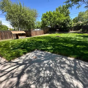 yard service by Herrera and Sons Lawn Care reviewed on December 17, 2025