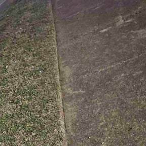 Leaf Removal by Grassy Cuts Lawn and Services LLC reviewed on February 5, 2026