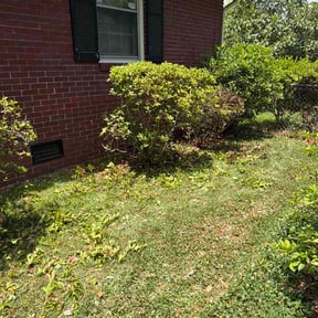 Bush Trimming by O&amp;S Lawn Care LLC reviewed on May 20, 2026