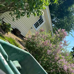 Leaf Removal by Osment Lawn Care reviewed on June 8, 2026