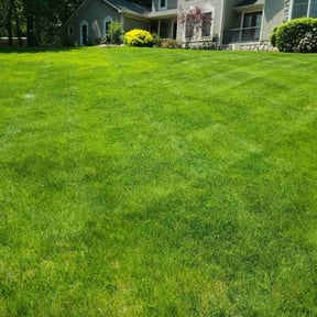 residential landscaping by Johnson lawn services  reviewed on October 3, 2023