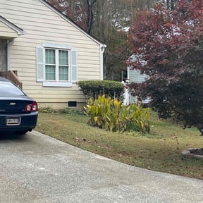 Bush Trimming by Lawns by leo reviewed on October 18, 2025