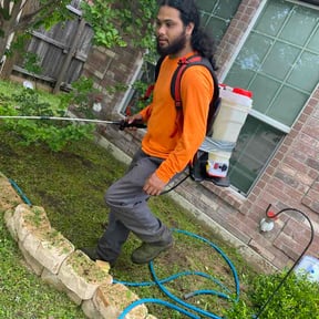Leaf Removal by Guzman's Lawn services reviewed on September 13, 2026