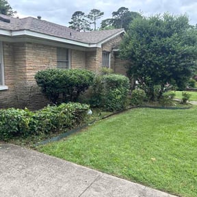 Bush Trimming by D&amp;D Landscaping reviewed on June 19, 2026