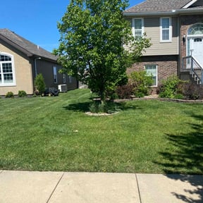 Bush Trimming by Mike&#039;s Mowing and Landscaping reviewed on December 22, 2021