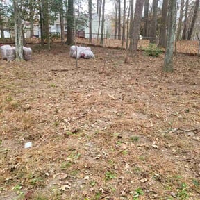 Leaf Removal by Kevreks Lawncare Service’s reviewed on November 30, 2025