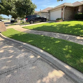 turf maintenance by David Rodriguez reviewed on August 13, 2025