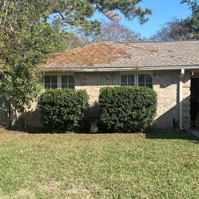 Bush Trimming by D&amp;M Lawn Care reviewed on December 7, 2025