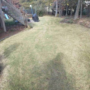 Leaf Removal by Flor Landscape reviewed on September 29, 2025