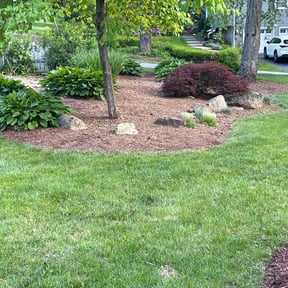 Weeding by United Hands Royalty Lawn Care reviewed on August 17, 2025