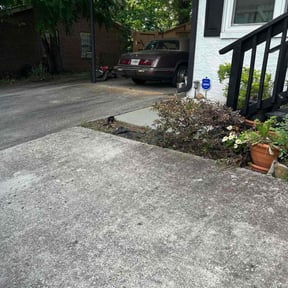 Bush Trimming by Jennifers Clean Outdoors reviewed on April 6, 2024