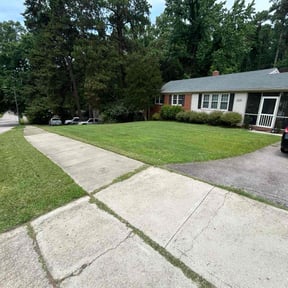 landscape maintenance by Ram cleaning solutions inc reviewed on August 16, 2025