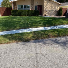 gardening service by Green Earth Lawn and snow LLC reviewed on December 30, 2025