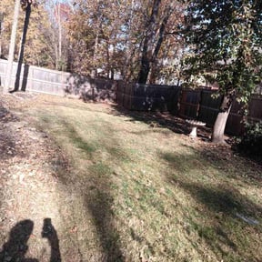 Leaf Removal by Spring grass masters reviewed on November 22, 2025