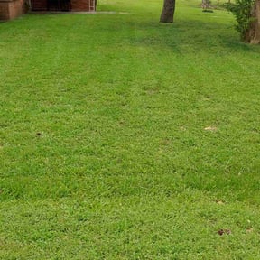 landscaping services by MHR Lawn Care reviewed on August 15, 2025