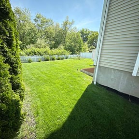 landscape maintenance by massagui landscaping reviewed on November 23, 2025