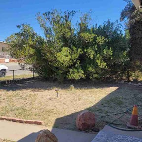 Bush Trimming by Quick Cutz reviewed on March 26, 2026