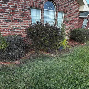 Flower Bed Weeding by All purpose landscaping LLC reviewed on August 7, 2025