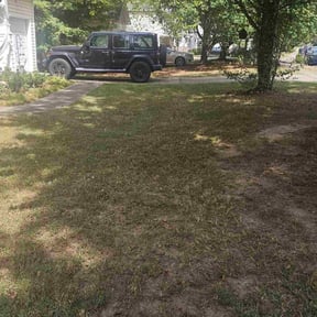 Leaf Removal by Get real landcare reviewed on September 26, 2025