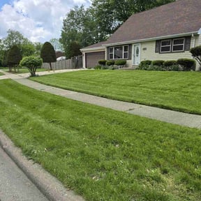 Long Grass Cleanup by Tierra Landscaping reviewed on May 1, 2025